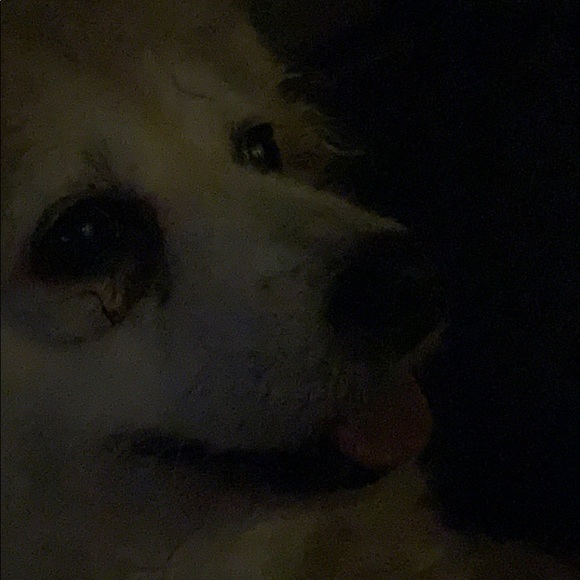 Meet your Posher, Kim - Picture 1 of 1